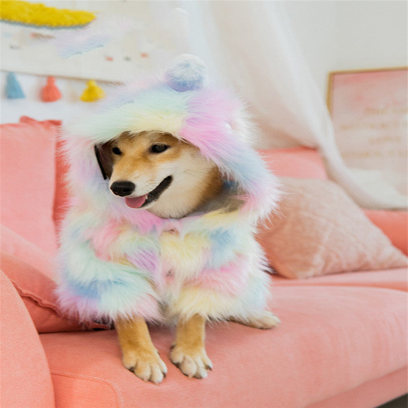 Pet winter coat